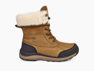 UGG Adirondack III Boots for Womens - Chestnut/Brown India